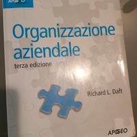 Libro Organizzazione Aziendale - Richard L. Daft