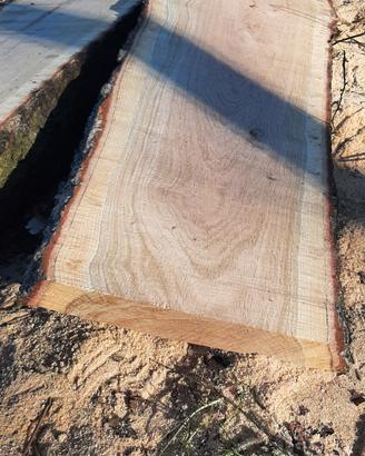 assi di legno rovere