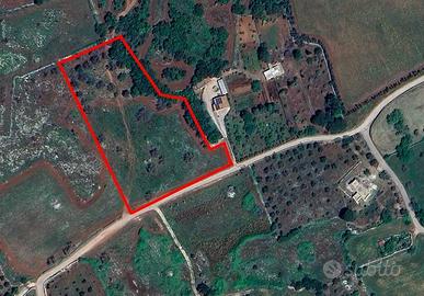 Terreno di 10042 m² a Carpignano Salentino
