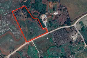 Terreno di 10042 m² a Carpignano Salentino
