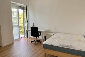 Monza stanza singola vicino università