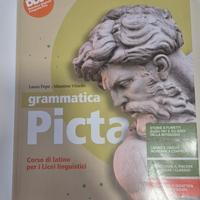 Grammatica Picta Seconda Edizione volume unico 