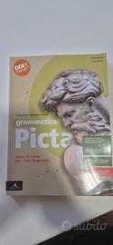 Grammatica Picta Seconda Edizione volume unico 