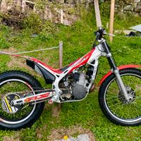 Beta evo 290