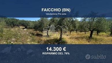 Immobile in asta di 7770 m² a Faicchio