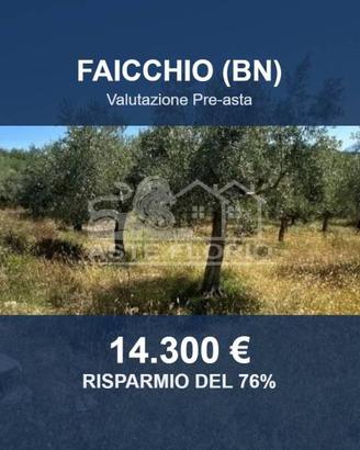 Immobile in asta di 7770 m² a Faicchio