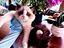 Immagine 3