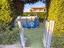 Immagine 15