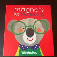 Gioco magnetico sulle espressioni Moulin Roty