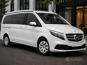 CLASSE V MARCO POLO N1 V220D