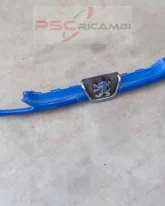 Griglia anteriore sotto cofano Peugeot 206 01-05