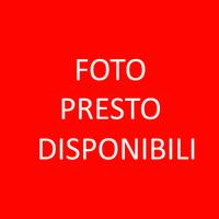 Carrello Solo Telaio Senza Documenti