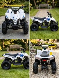 Miniquad per bambini Profive Racer 50cc 2T