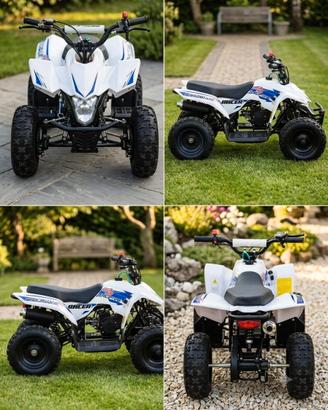 Miniquad per bambini Profive Racer 50cc 2T
