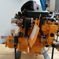 Entrobordo VETUS 18 hp bicilindrico