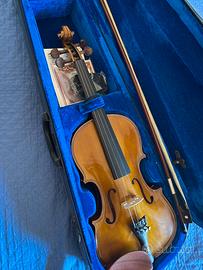 Violino stentor