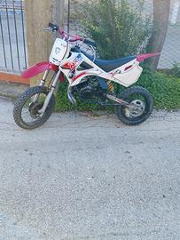 lem 50