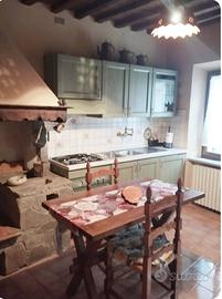 Bilocale nel cuore della campagna toscana