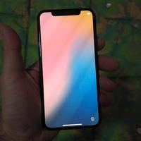 Apple iPhone XS 256GB iOS No FaceID Batteria 75%