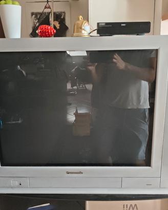 TV tubo catodico TX-29AL10C