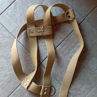 Pettorina per cane di grossa taglia.