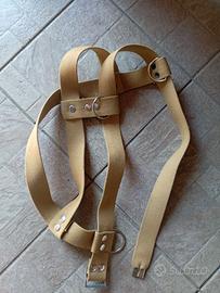 Pettorina per cane di grossa taglia.