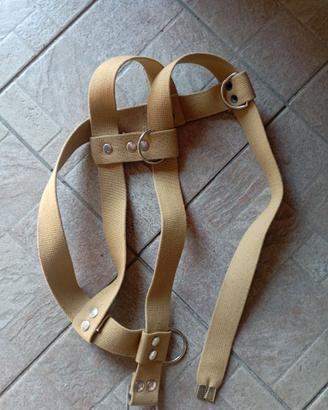 Pettorina per cane di grossa taglia.