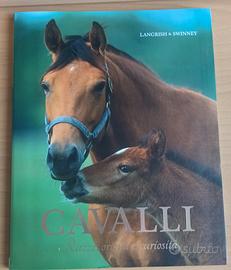 libro sui cavalli per bambini e ragazzi  NUOVO 