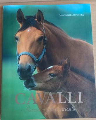 libro sui cavalli per bambini e ragazzi  NUOVO 