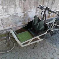 Cargo bike Riese & Muller Load 60 touring