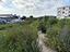 Immagine 26