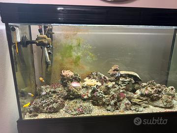 Acquario marino completo 400 lt