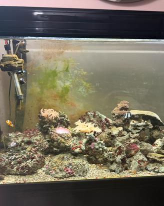 Acquario marino completo 400 lt