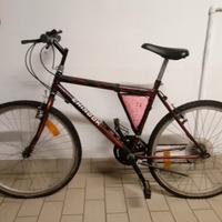 Mountain bike (MTB) Chinook 26" uomo/ragazzo 
