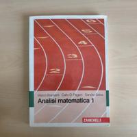 libro di analisi matematica 1