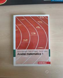 libro di analisi matematica 1