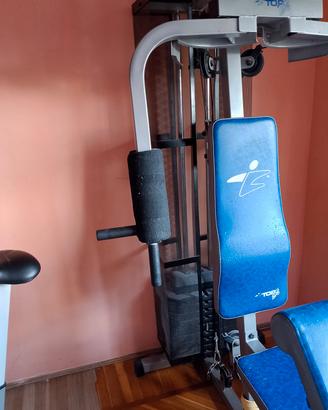 Palestra 