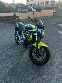 Suzuki SFV 650 Gladius