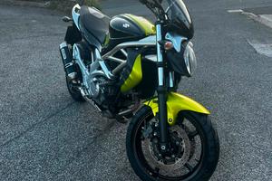 Suzuki SFV 650 Gladius