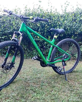 Mountain bike BERGAMONT