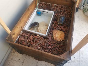 terrario per tartarughe sia di acqua che di terra - Accessori per animali  In vendita a Taranto
