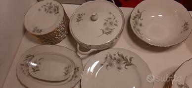 Set da tavola  41 pezzi Richard Ginori