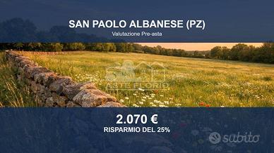 Immobile in asta di 13807 m² a San Paolo Albanese