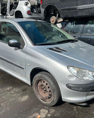 RICAMBI PEOGEOT 206 COLOR GRIGIO   2002      HFX