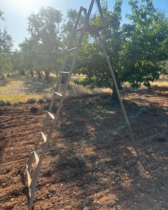 Scala in ferro per uso agricolo