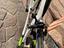 Immagine 6