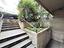 Immagine 28