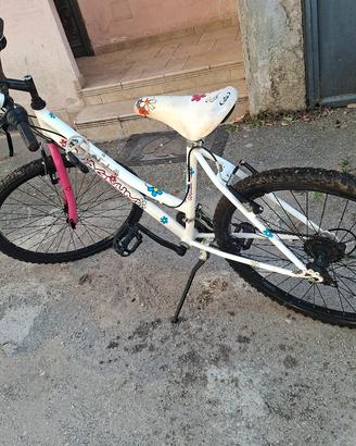 Bicicletta per ragazzo/a