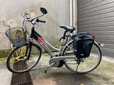Bici elettrica Microbike pedalata assistita