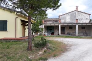 Rustico mq 602 +terreno+ altro immobile